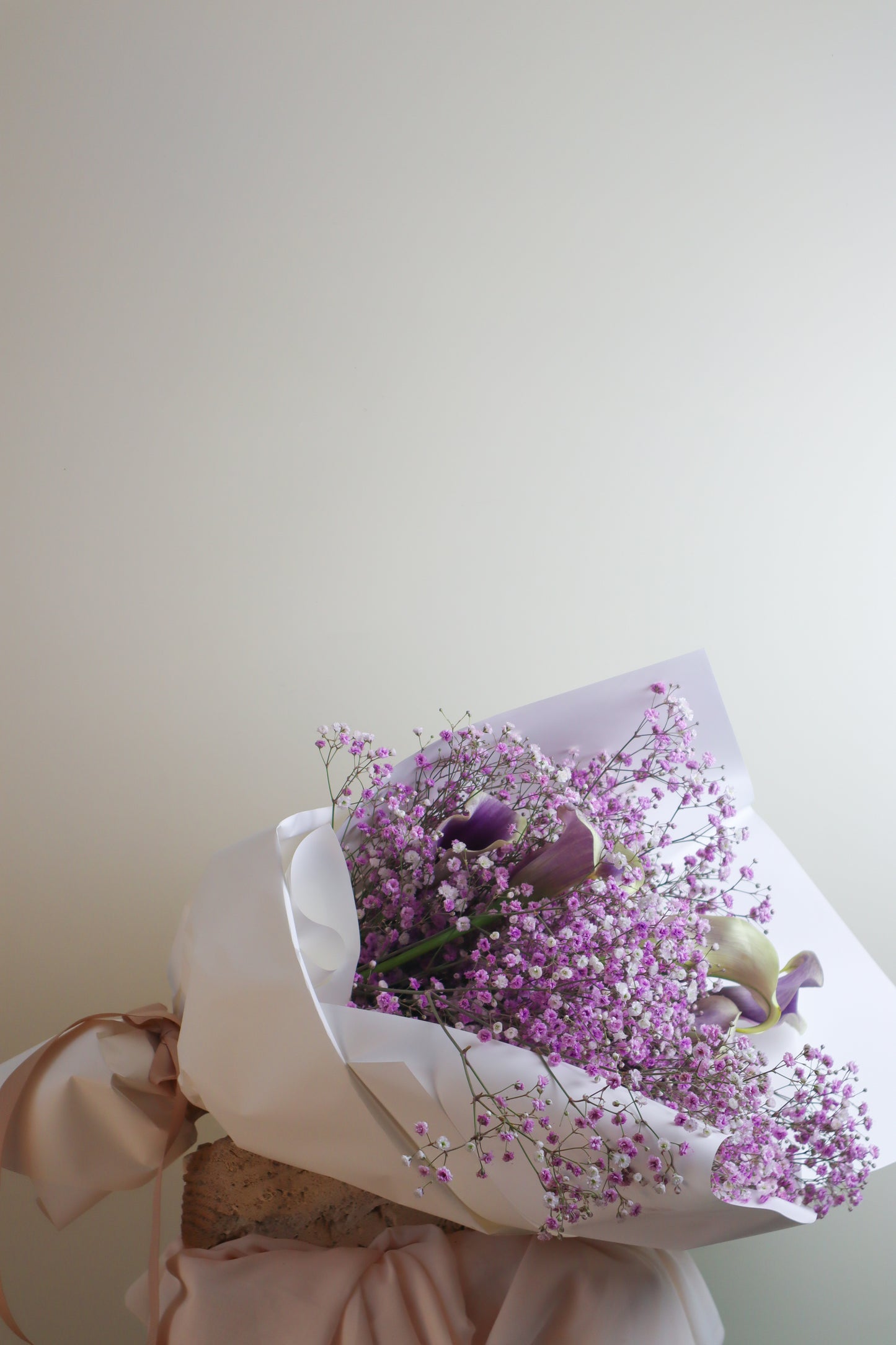 Lavender fields