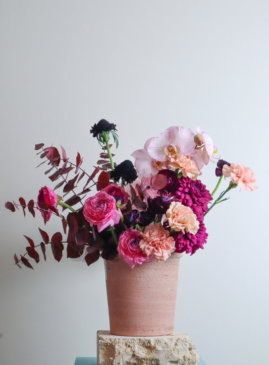 Blueberry cheesecake